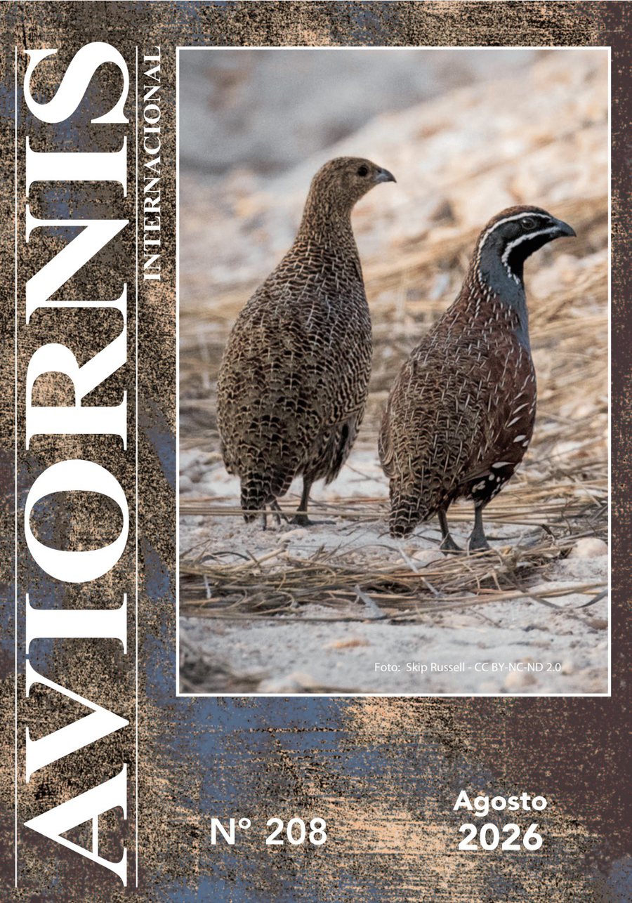 Portada de la revista Aviornis nº 208, agosto 2026